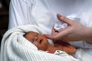 Reassuring evidence that babies born from controlled rate frozen embryos via ICSI do as well as those born from frozen embryos fertilised via standard IVF treatment