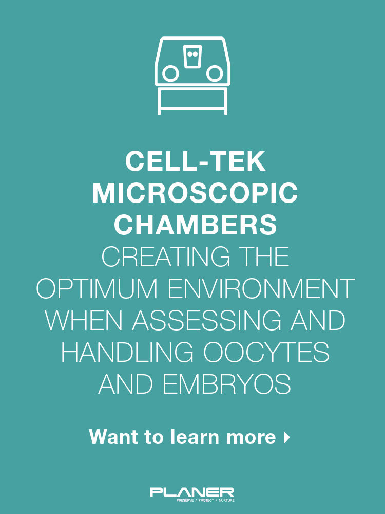 Cell-TekMicroscope Chambers 