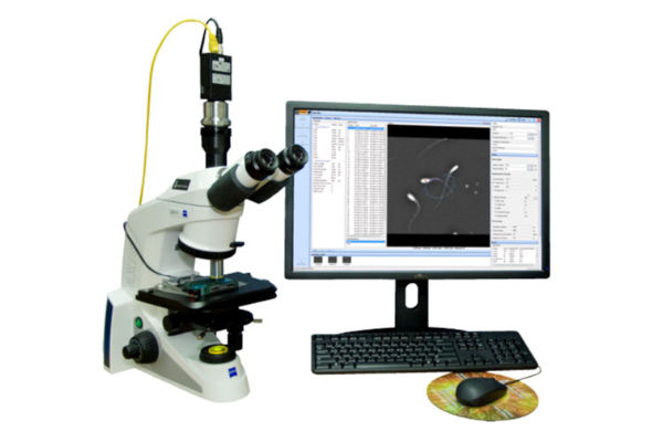 CEROS II Clinical 