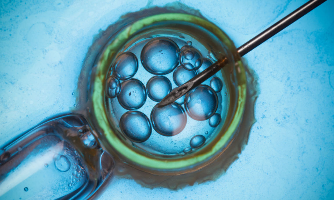 Animal IVF and breeding programmes 