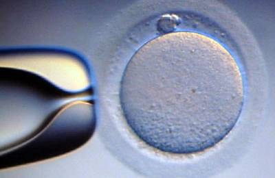 HFEA Publishes Recommendations for Reform of Fertility Law