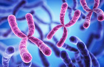 Autoimmune Diseases may be Linked to X Chromosome Inactivation