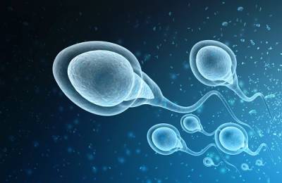 Global Sperm Counts Declining