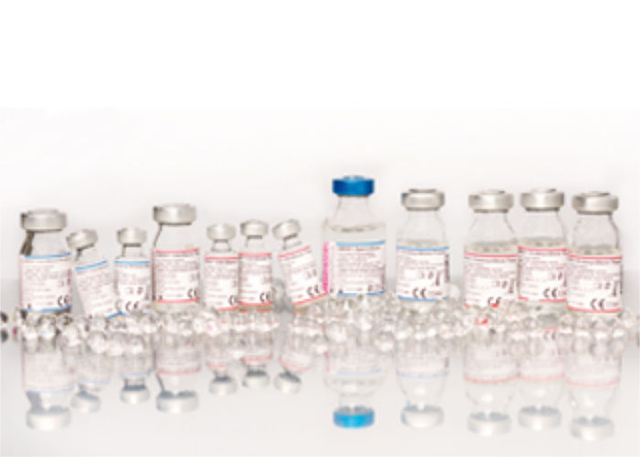 Cryopreservation