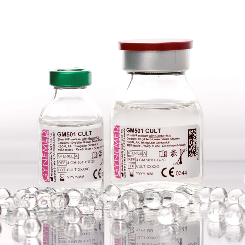 GM501 Cult with Gentamicin