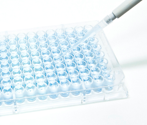 IVF Culture