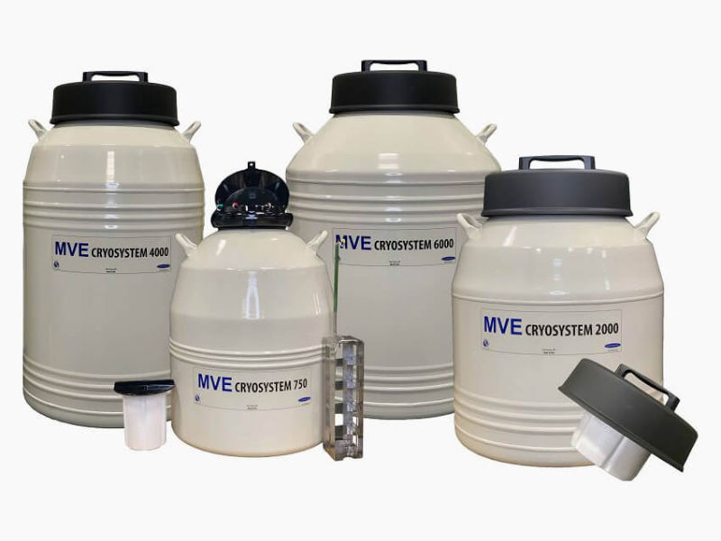 CryoSystem