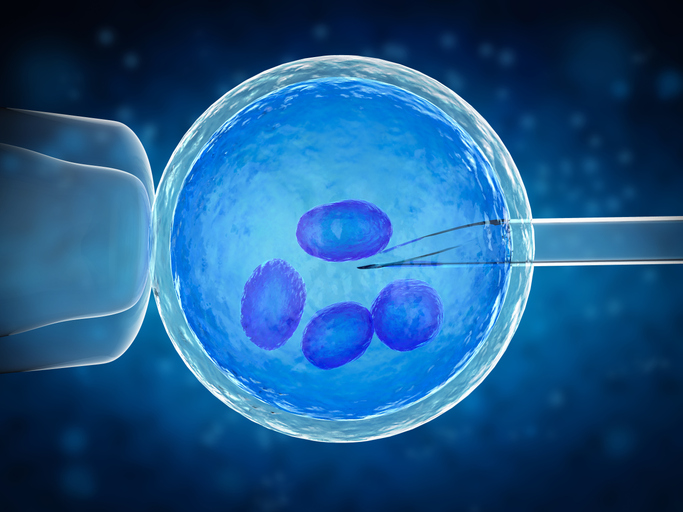 ivf