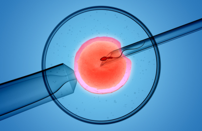 UK's First 'three-parent baby' Born After IVF Procedure