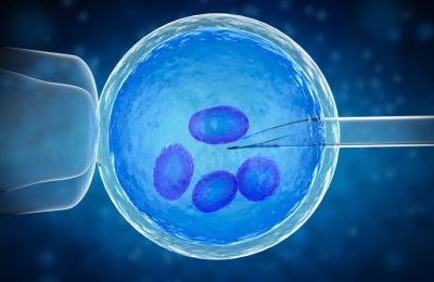 HFEA issues first commissioning guidance for fertility treatment