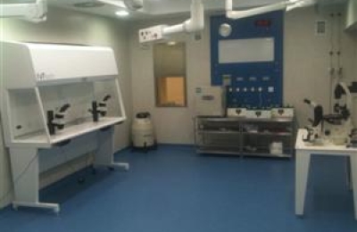 Incubators in Marbella