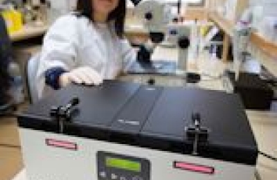 Monash Embryology Course