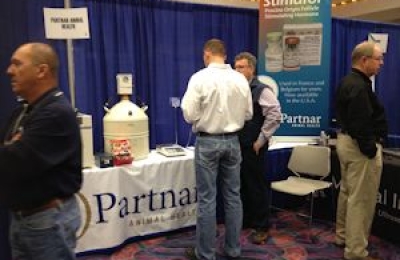 New distributor for Animal IVF…..No Bull!