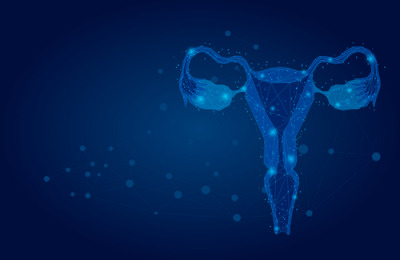 Human Endometrial Cell Atlas published