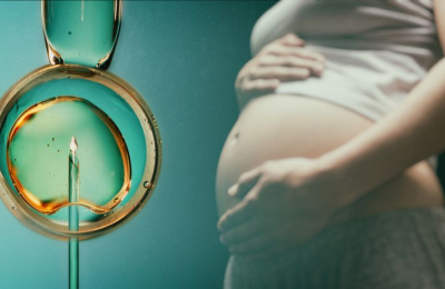 State of the Fertility Sector 2023/24. Annual Publication on HFEA Licensed Clinics