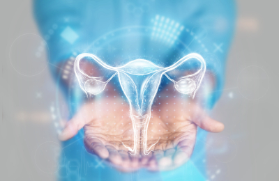 Cell Atlas of the Human Ovary Published
