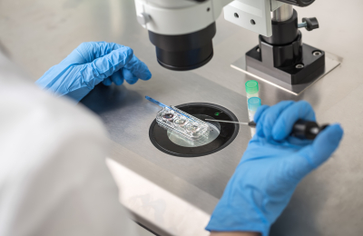 Australia Opens First Public Egg and Sperm Bank