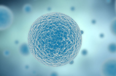 Mouse Eggs Created From Skin Cells